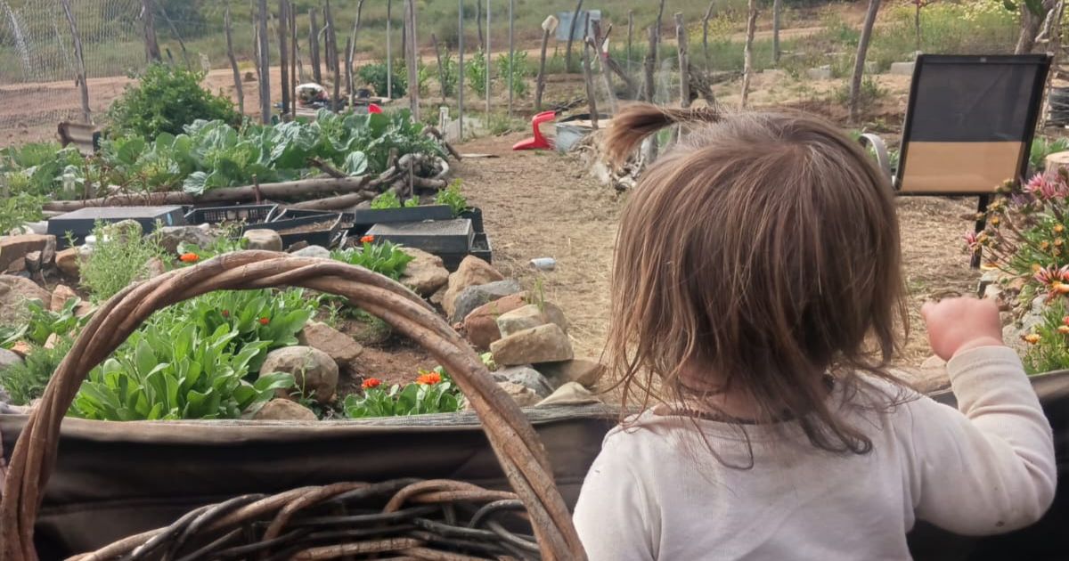 back of child's head looking at garden