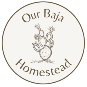 Our Baja Homestead logo with flowering cactus drawing in the middle