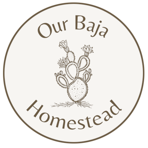 Our Baja Homestead logo with flowering cactus drawing in the middle