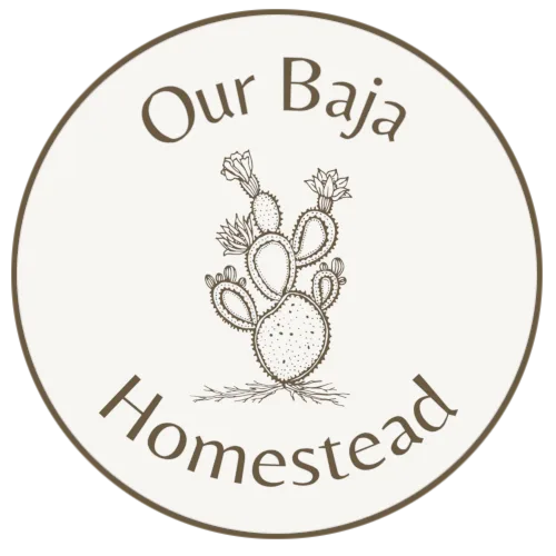 Our Baja Homestead logo with flowering cactus drawing in the middle