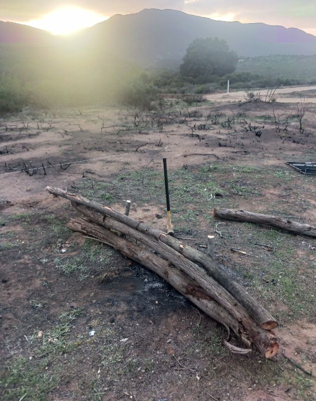 tree limb garden bed being built with mountains in background.