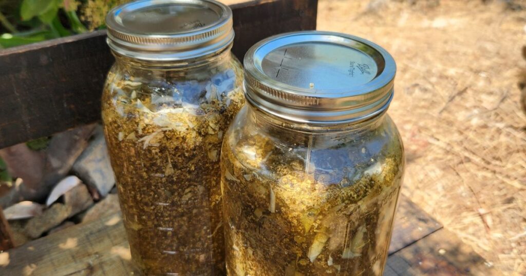 two mason jars full of honey infused with elderberry and sage on top of wood chair outside