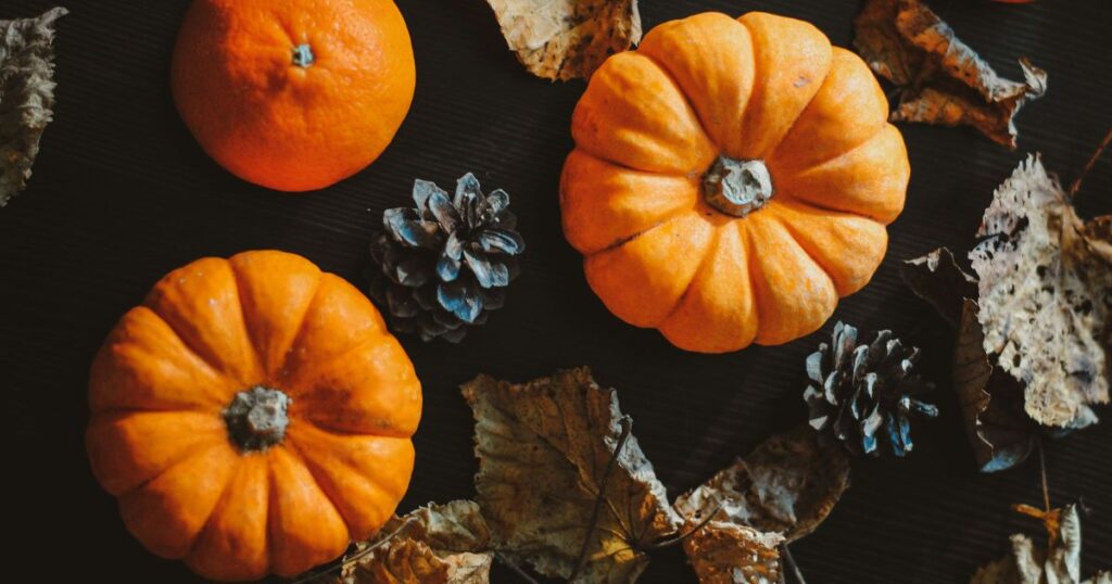 overhead view of mini pumpkins, an orange, pinecone and leaves.