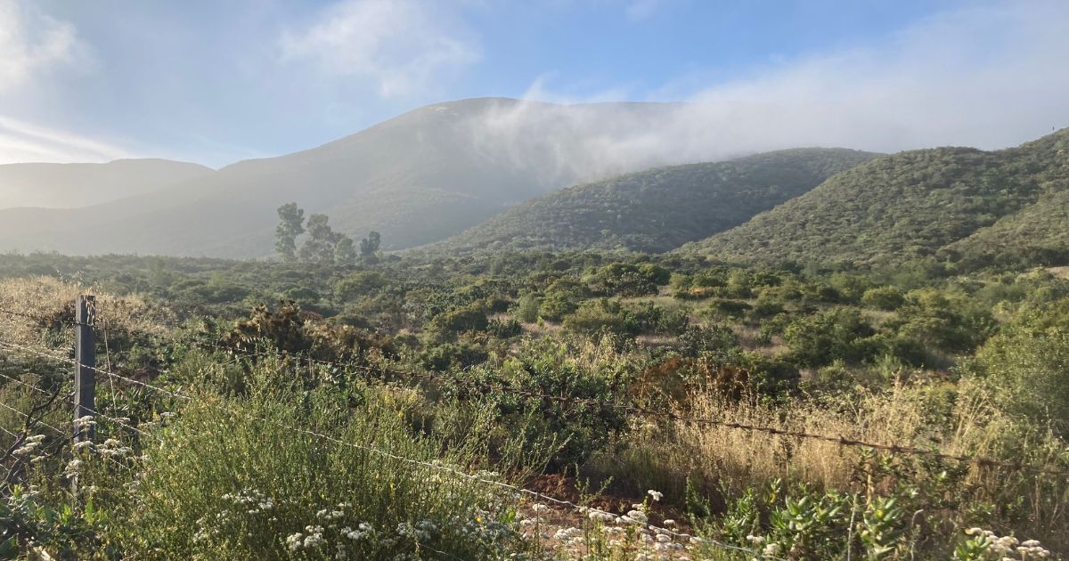 rural landscape of baja california with mountains in background