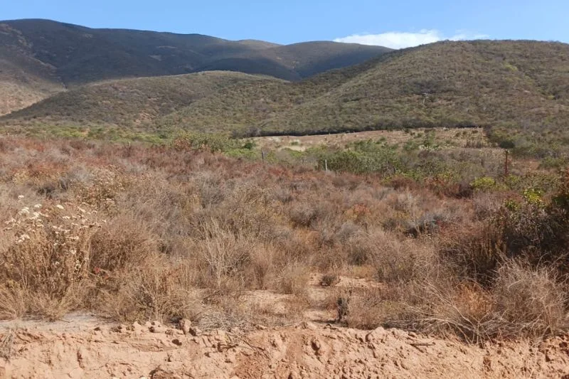 rural landscape of Baja California