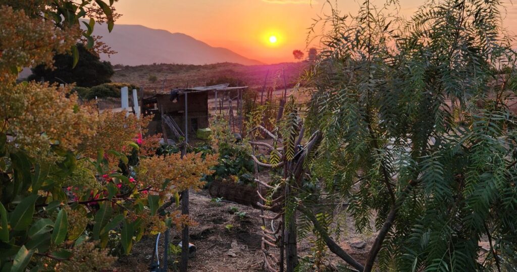 garden view of cob chicken coop and sunset and mountains in background.