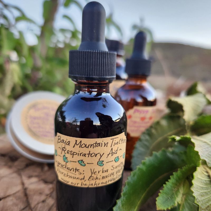 labeled tincture with another tincture and a salve in the background. Outside with live herbs.