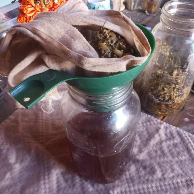 glass mason jar with green plastic funnel filled with herbs in a cheesecloth.