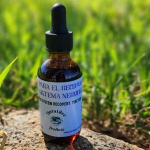 tincture bottle of System Recovery outside on rock with grass in background