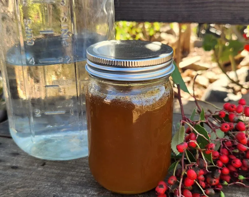 Close-up of Fermented Christmas berry Spritzer in small mason jar with water in large mason jar behand and Christmas Berries on side.