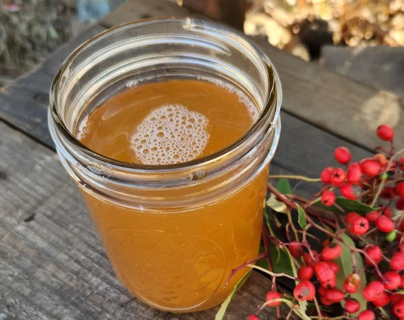 Fermented Christmas Berry Spritzer in mason jar on top of wood table next to fresh toyon berries