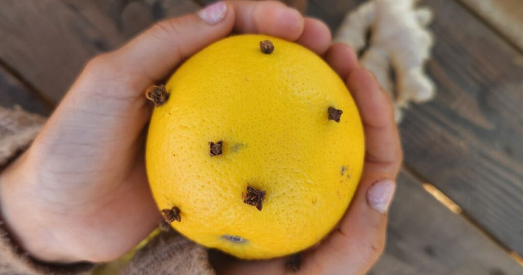 Close-up of orange with whole cloves stuck in it held in the palms of a child.