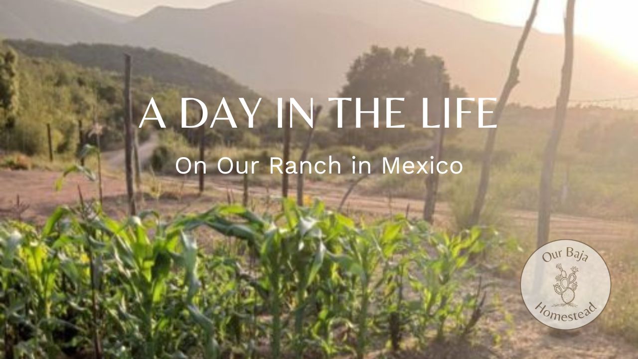 view from ranch with title of video and logo