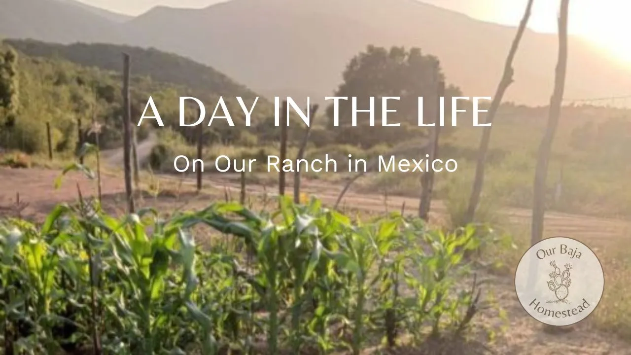 view from ranch with title of video and logo