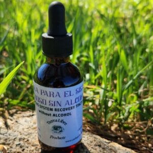 tincture of nervous system recovery w_o alcohol outside on rock