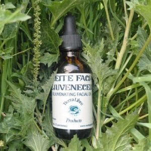 Ostara (Spring) Rejuvenating Facial Oil